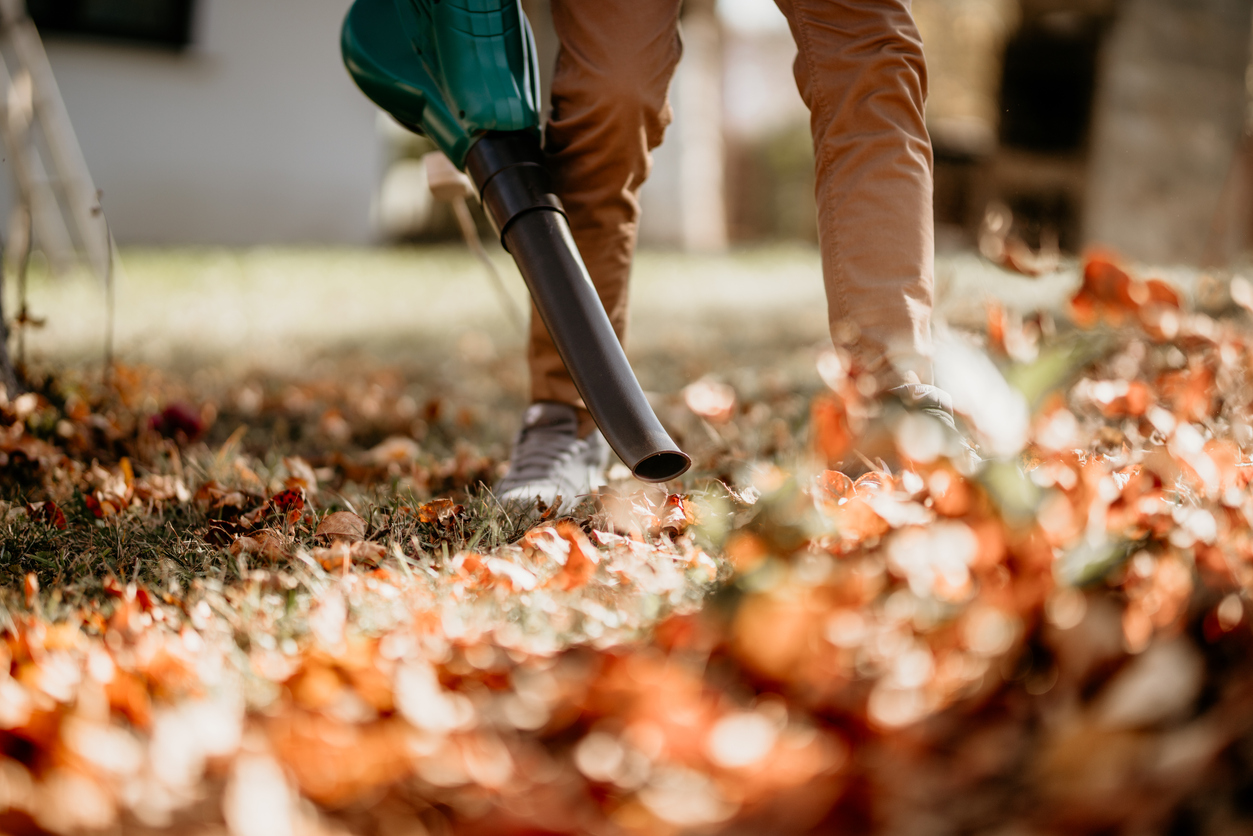 Fall Clean Up Cost