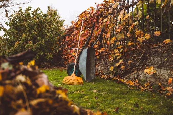 How Much Does Fall Cleanup Cost?