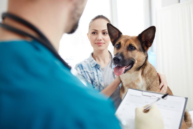 Is Pet Insurance Really Worth Getting?