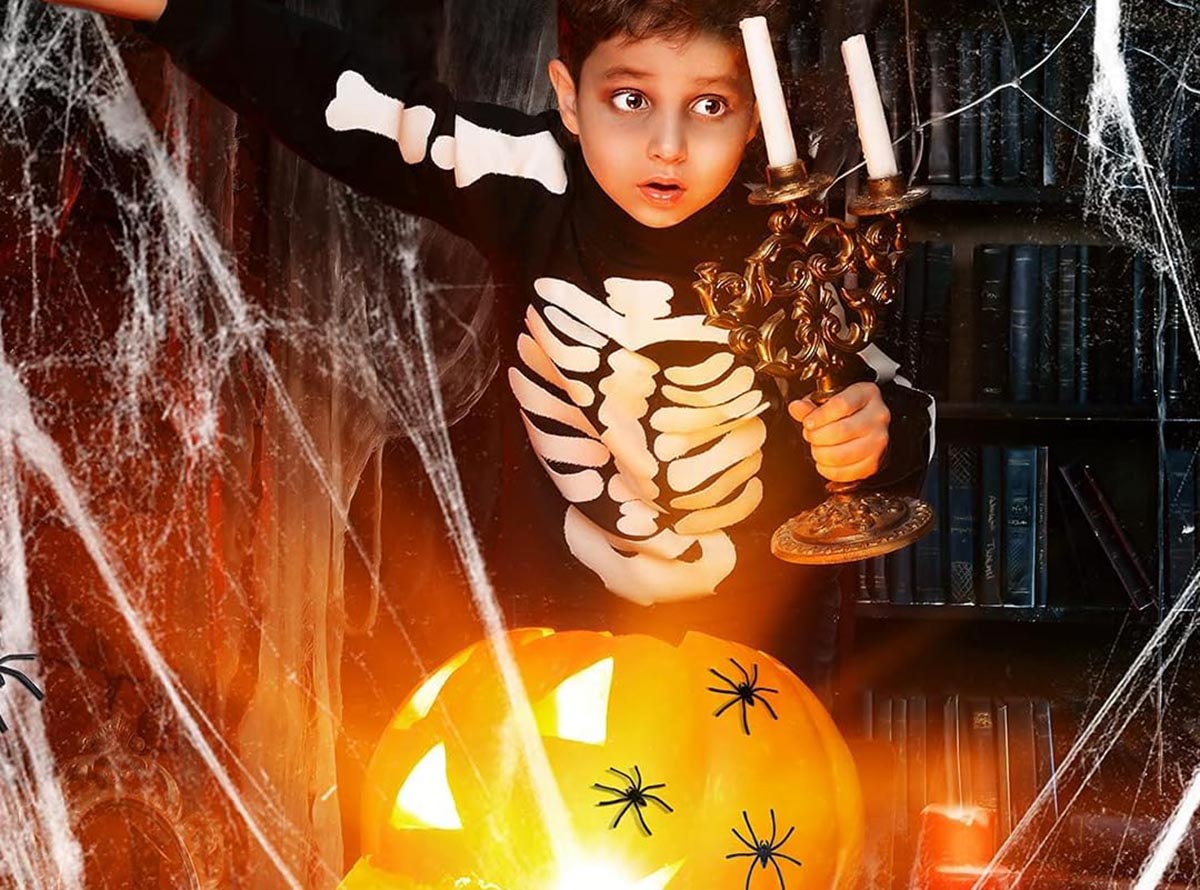 The Best Amazon Halloween Decorations Option Kangaroo Spider Webs & Fake Spiders