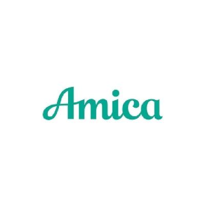 The Best Auto and Home Insurance for Seniors Option Amica
