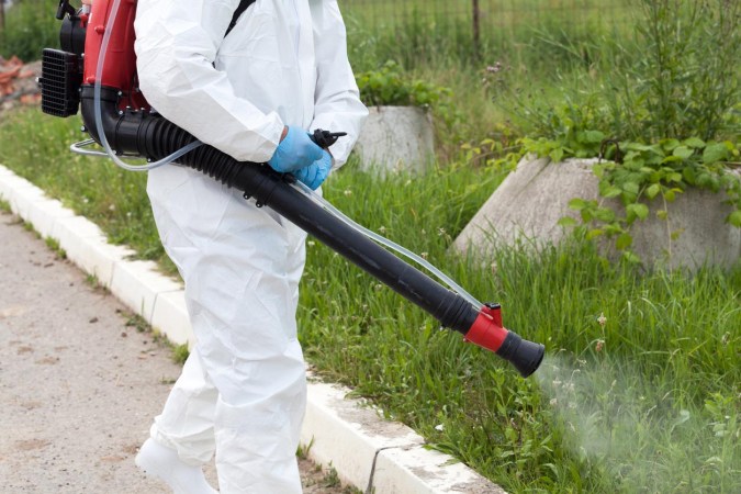 How Much Does Pest Control Cost in Orlando, Florida? (2024 Guide)