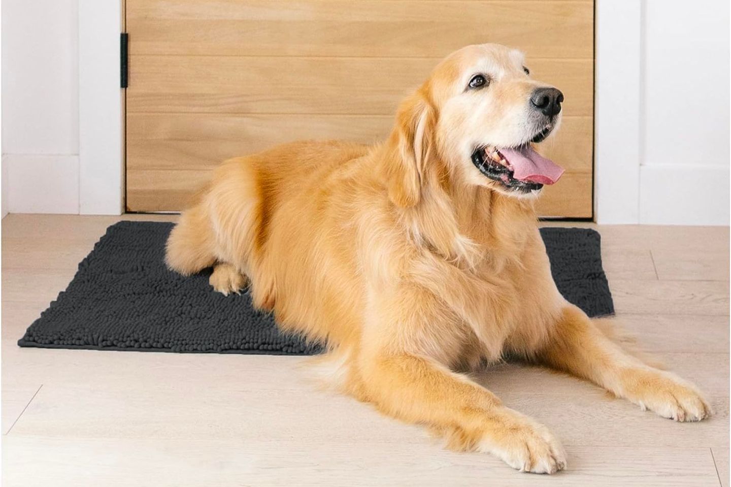The 10 Best Dog Doormats