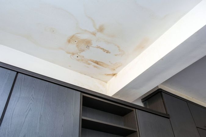 Black Mold in the Bathroom? Cleaning Supplies May Not Be Enough