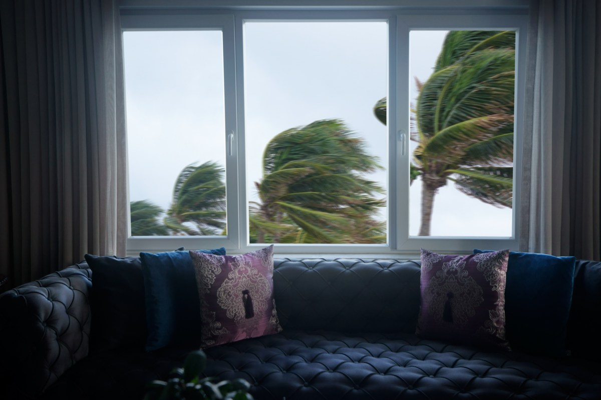 cost of hurricane windows vs regular windows