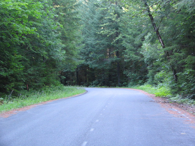 road through the woods in Tiller Oregon