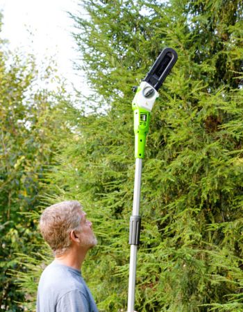 A person using the Greenworks 40V cordless pole saw to trim a high tree branch