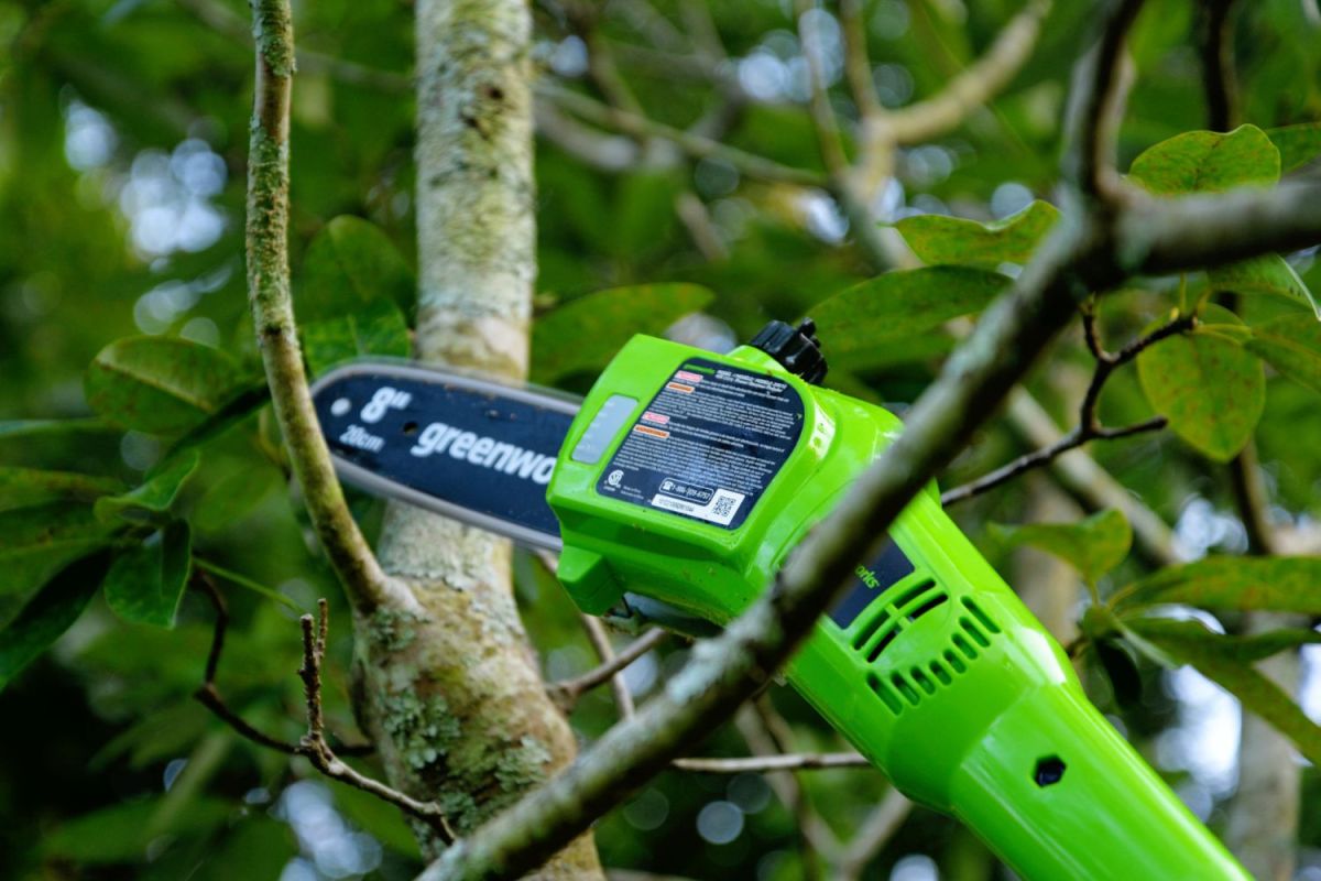 The Greenworks 40V cordless pole saw in action trimming a tree branch