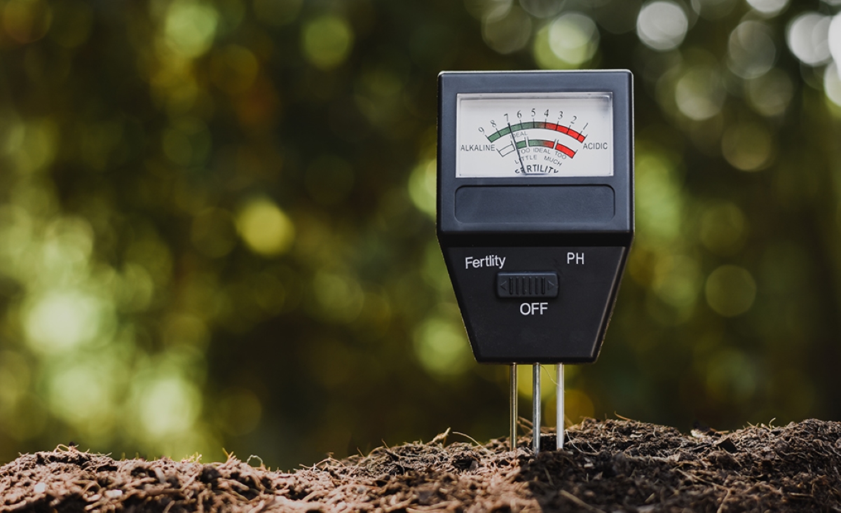 A soil ph testing device stuck into soil.