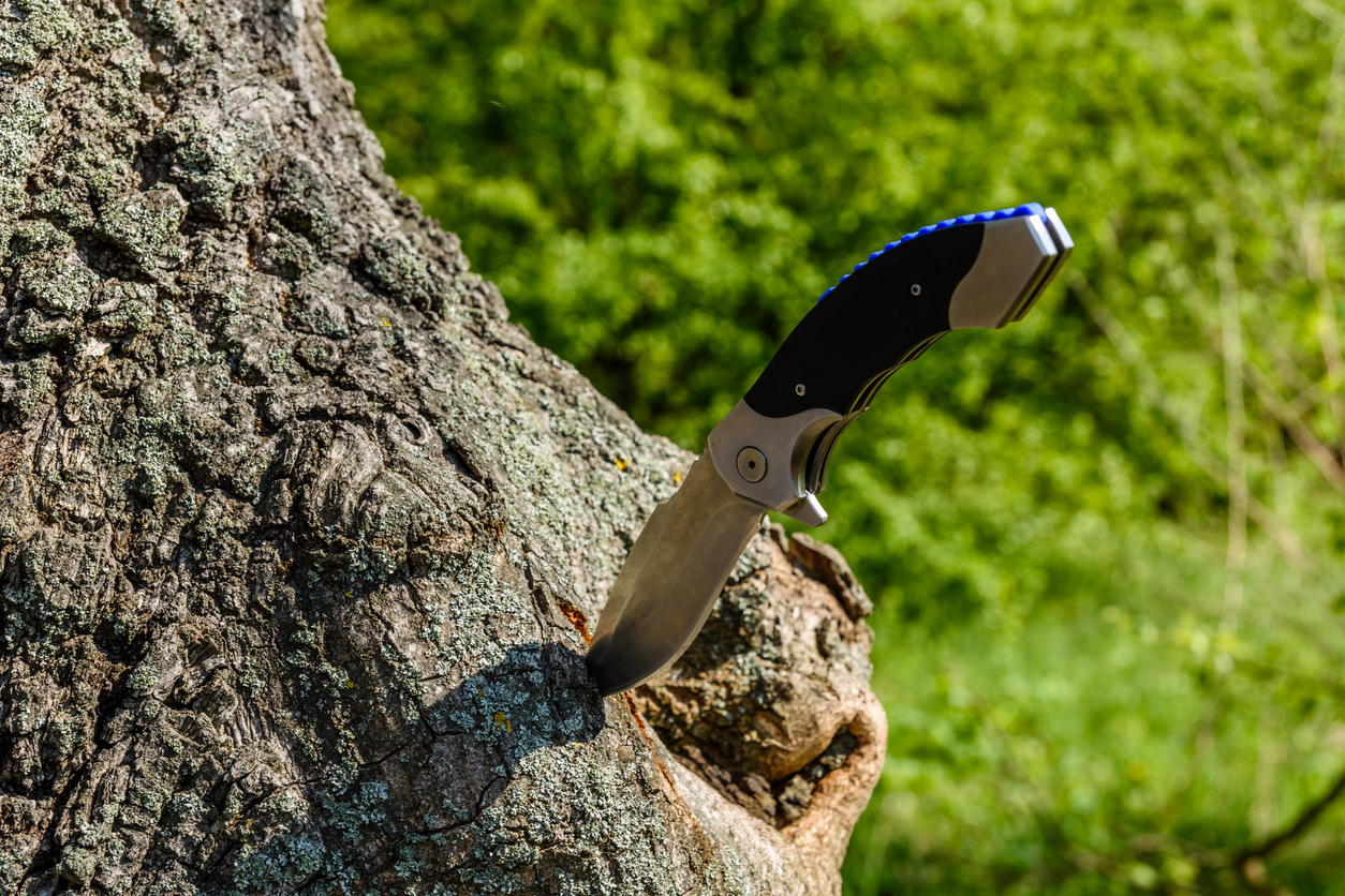 close view of knife lodged in old tree trunk
