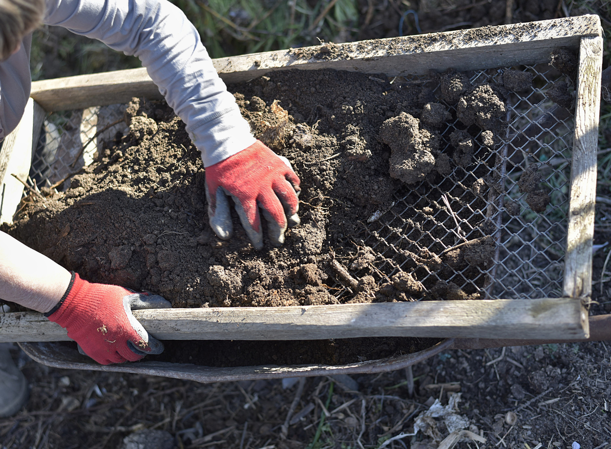 woman sieve through a sieve compost