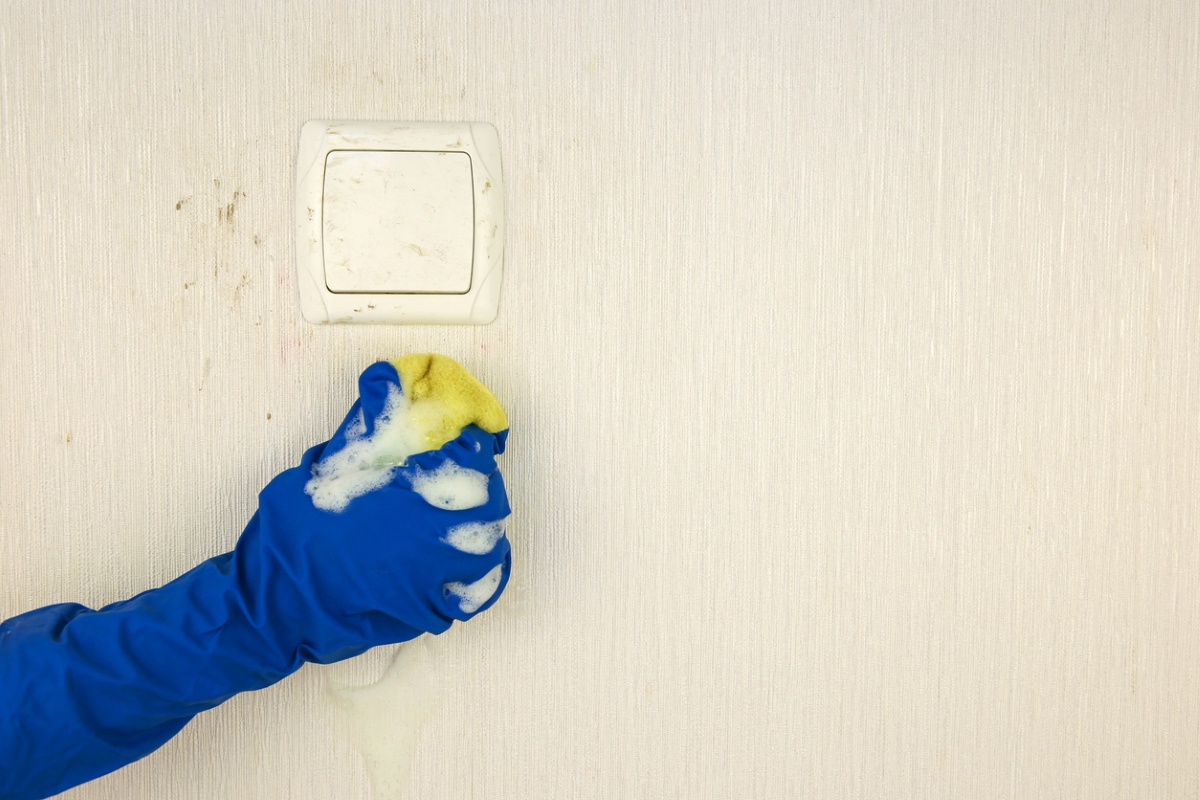 Gloved hand cleaning wall