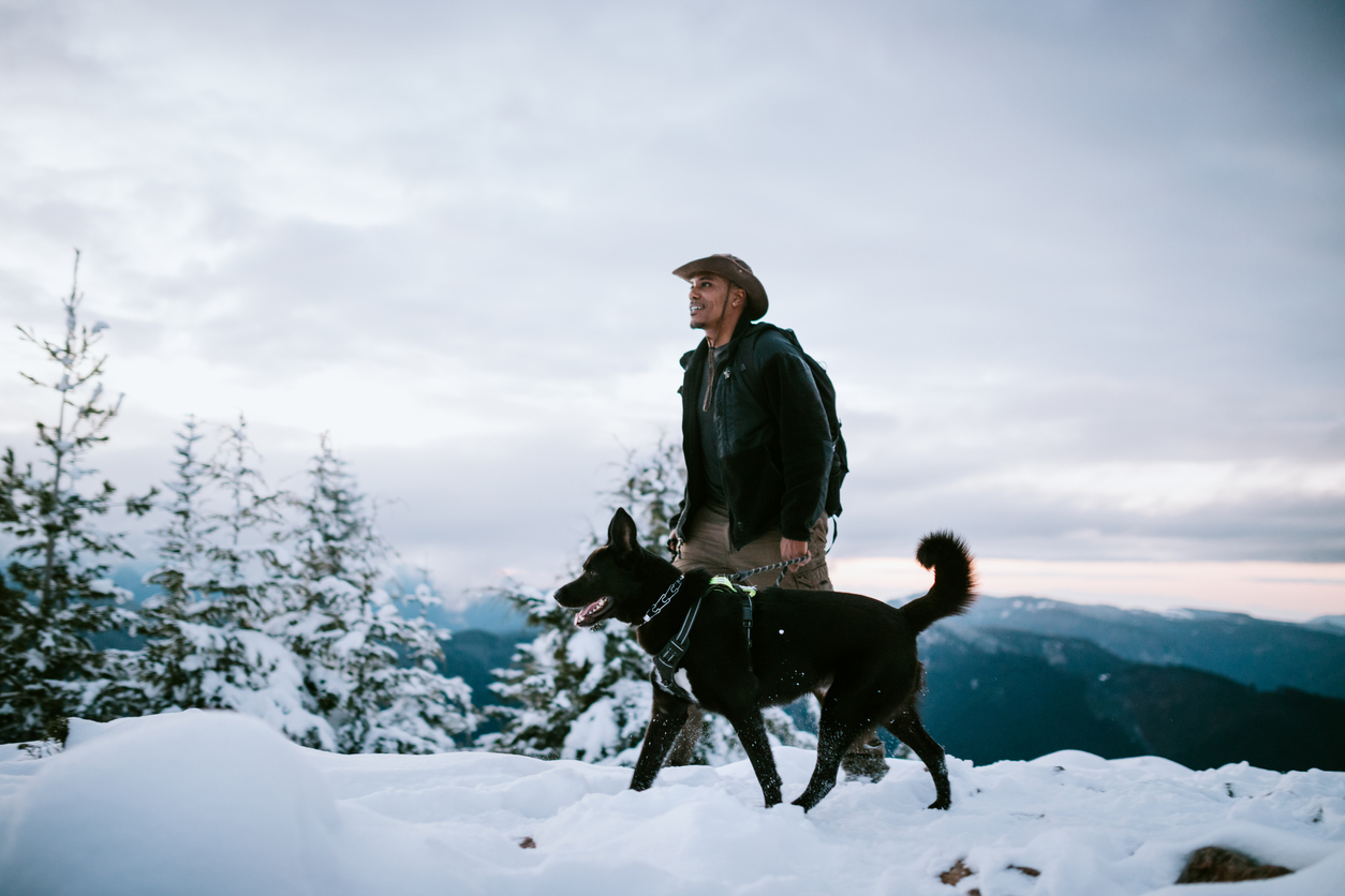 Hiker and Dog in Snow Covered Pacific Northwest