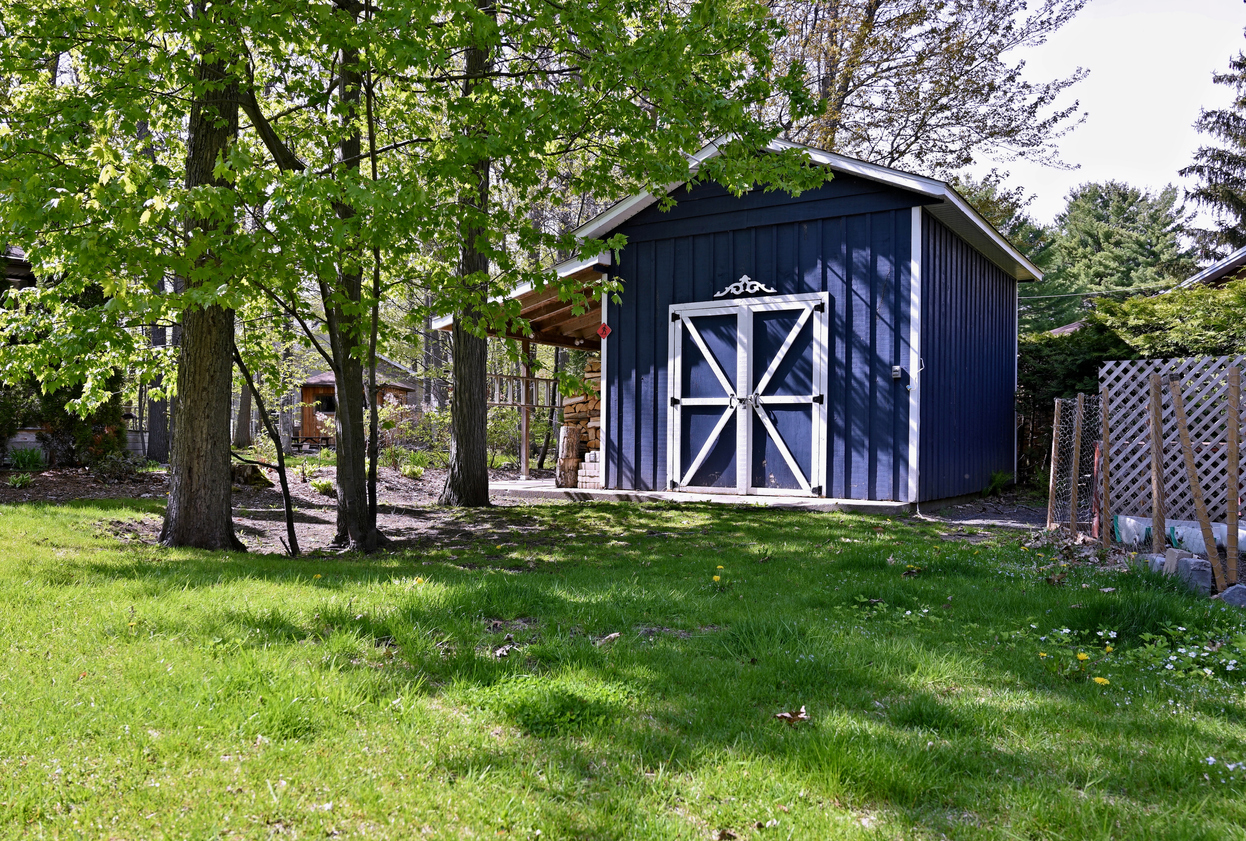 large-blue-and-white-shed-in-a-treed-backyard