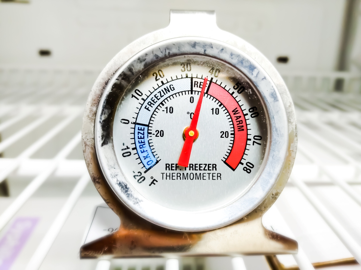 Fridge thermometer