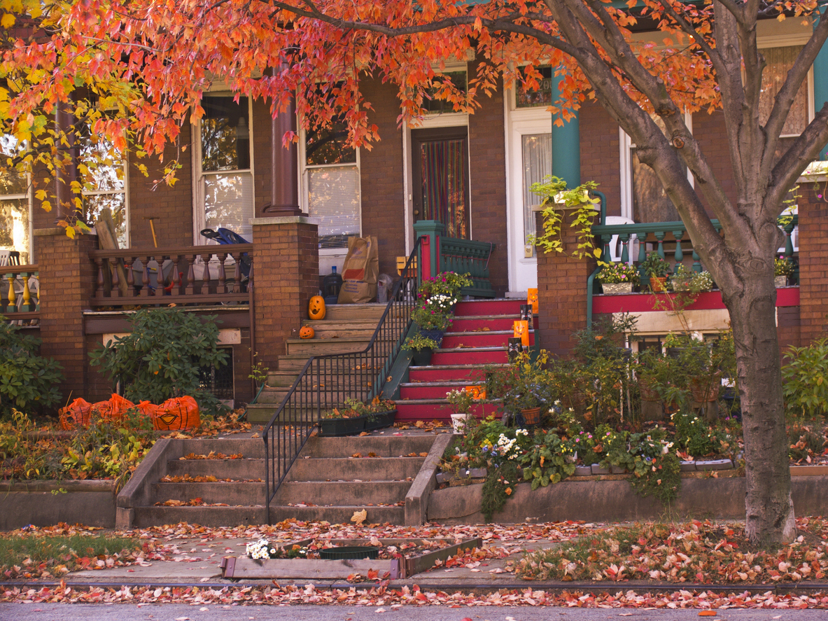 Bright orange leaves hang in front of rowhouse porches in autumn.