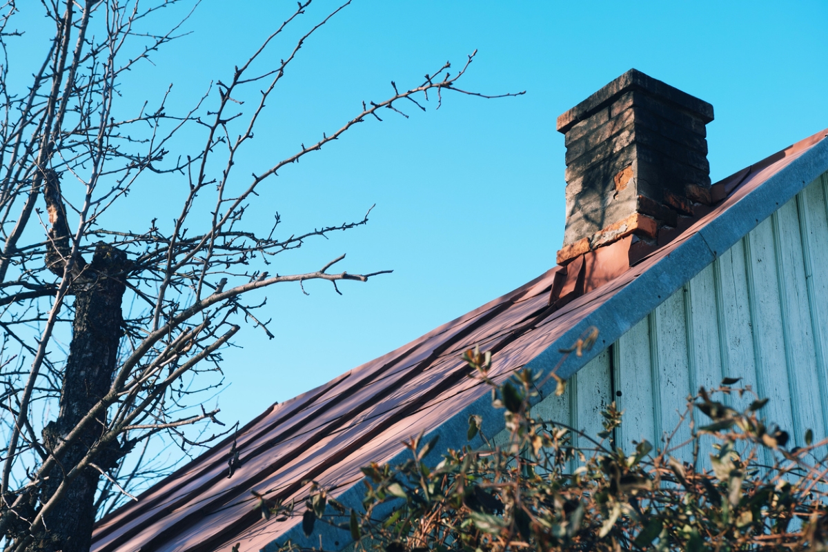 Tree limbs near chimney on roof