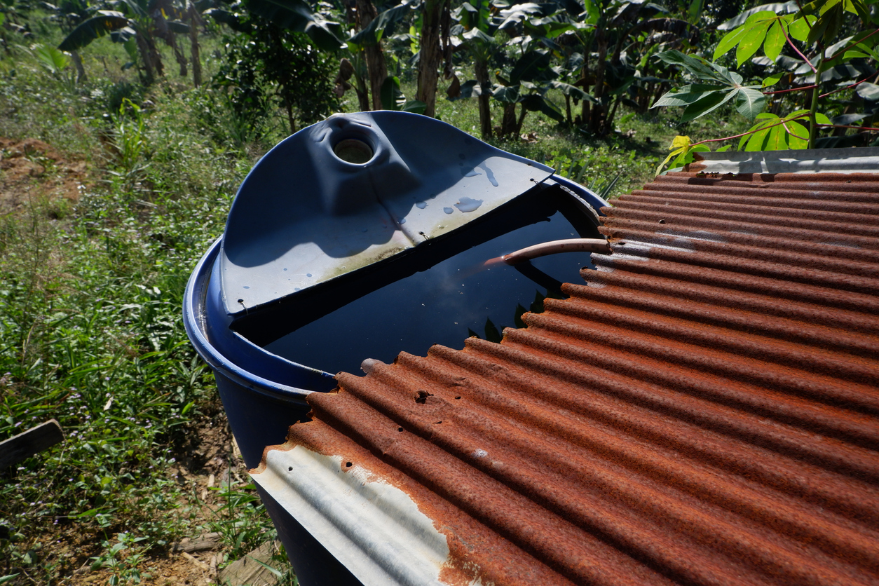 Utilization of rainwater
