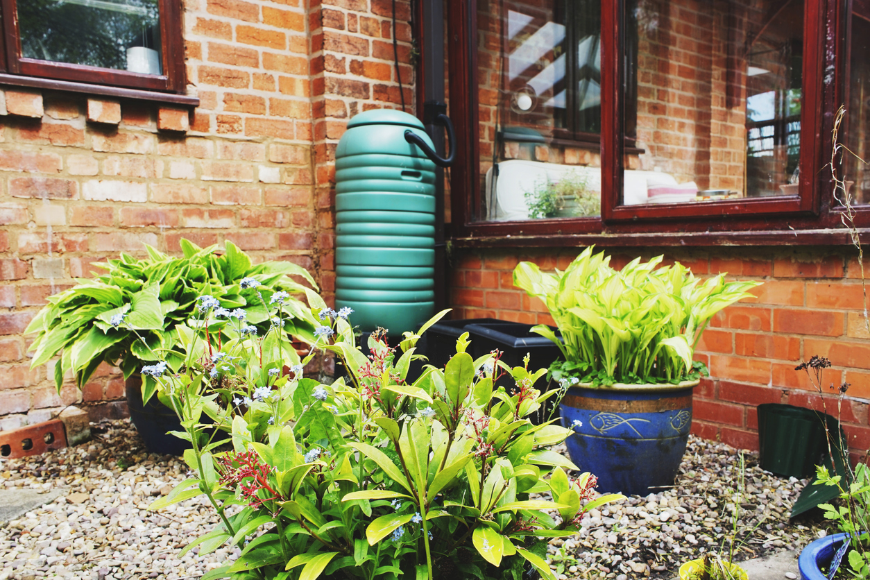 rain-barrel-in-the-corner-of-a-red-brick-home-patio-with-rock-garden-and-plants