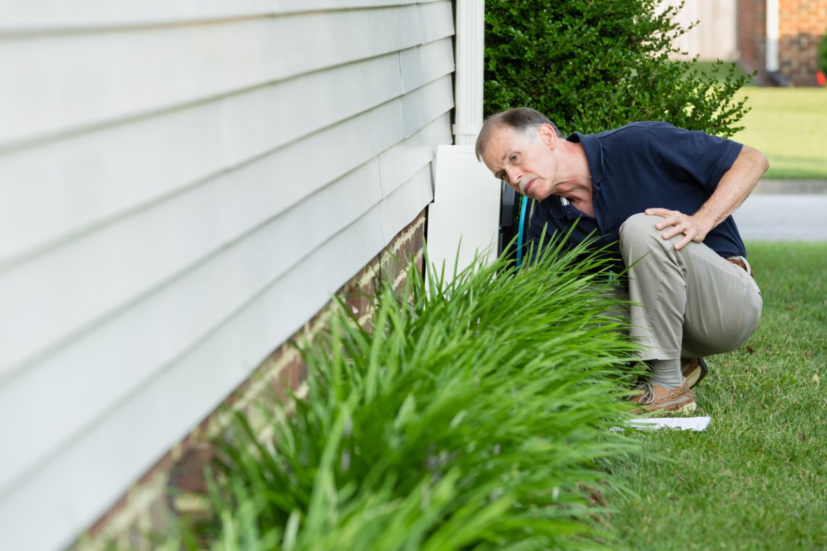 man-with-a-mustache-examines-the-foundation-of-a-home-behind-ornamental-grass