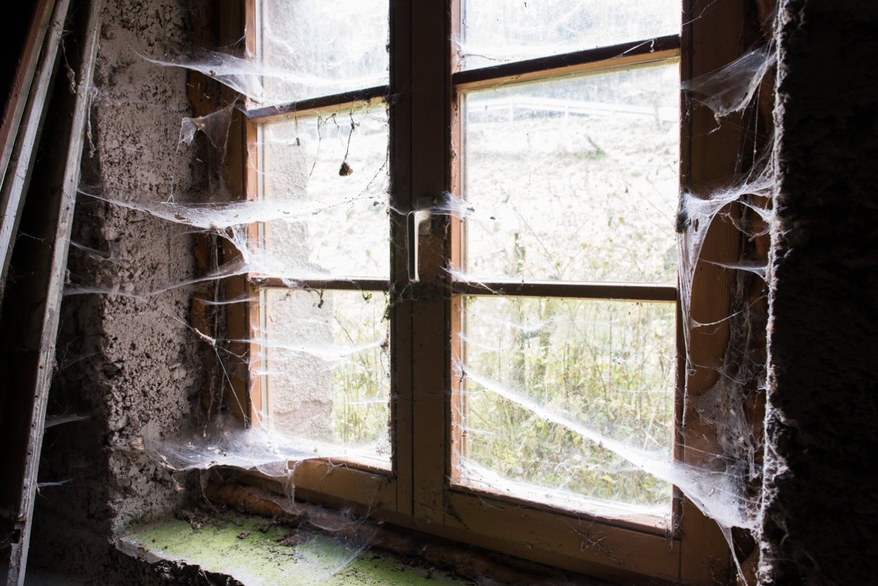 Cobweb Rashes Why Are There No Spiders in Cobwebs? The Mystery Behind the Messy ...