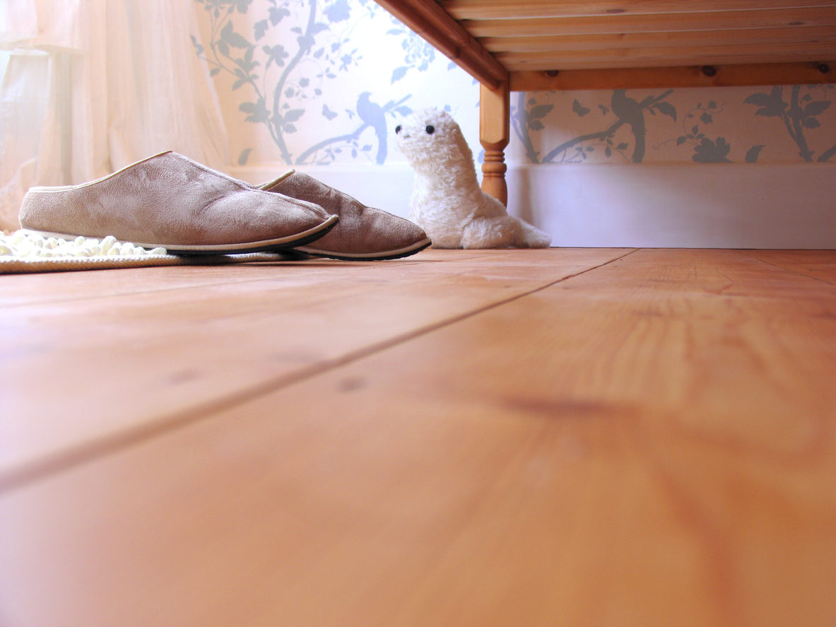 Low angle shot from under the bed showing my slippers, cuddly toy and trendy wallpaper. Lots of room to add text etc.