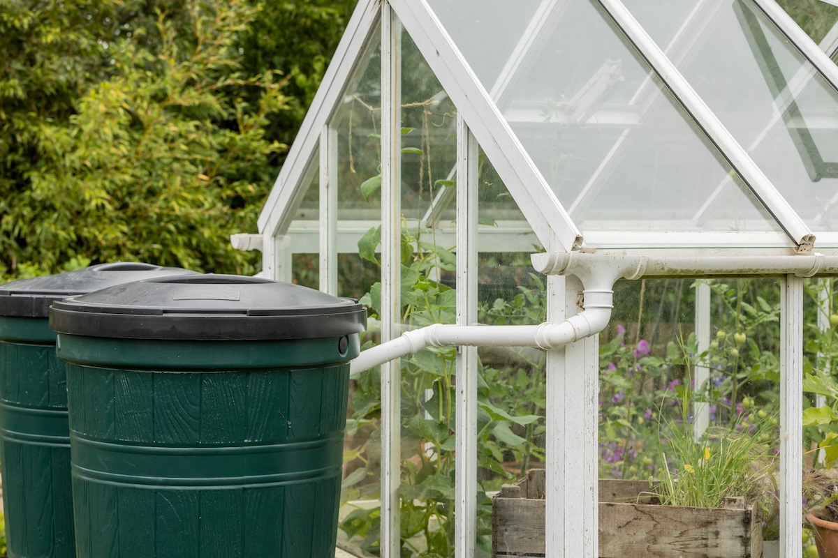 A small greenhouse is attached to several rain water barrels that keep the plants inside hydrated. 