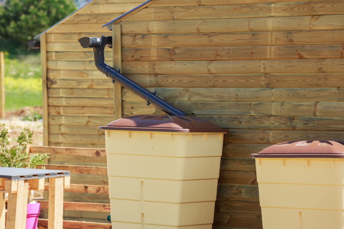 A gutter leads from the top of a garden shed and into a yellow rain water barrel.