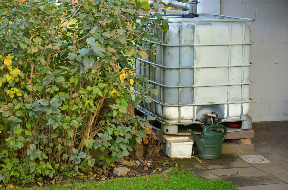 A large rain barrel pours water into a watering can. 