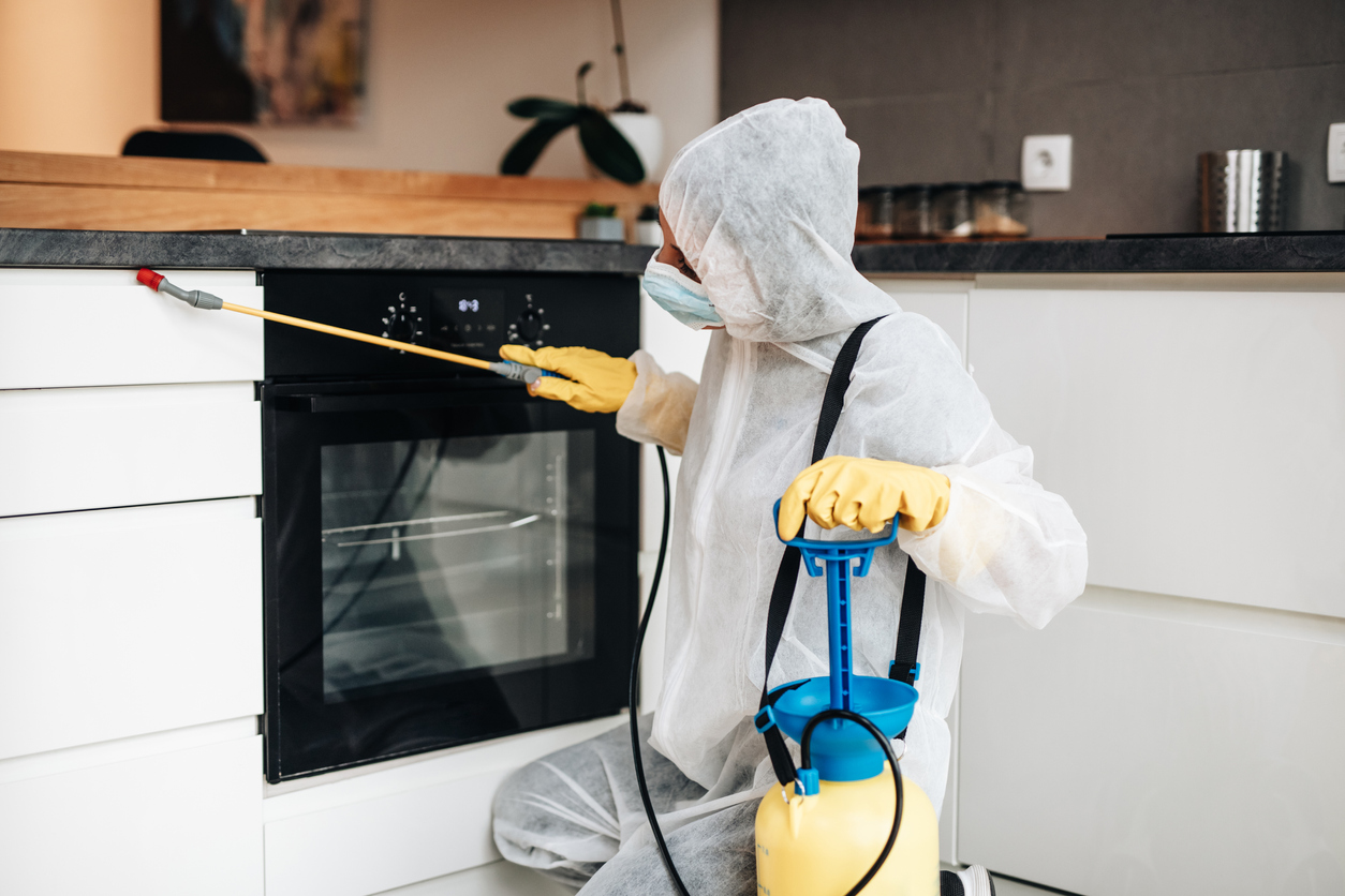 Solved! Why Are There Suddenly So Many Cockroaches in My House? Bob Vila