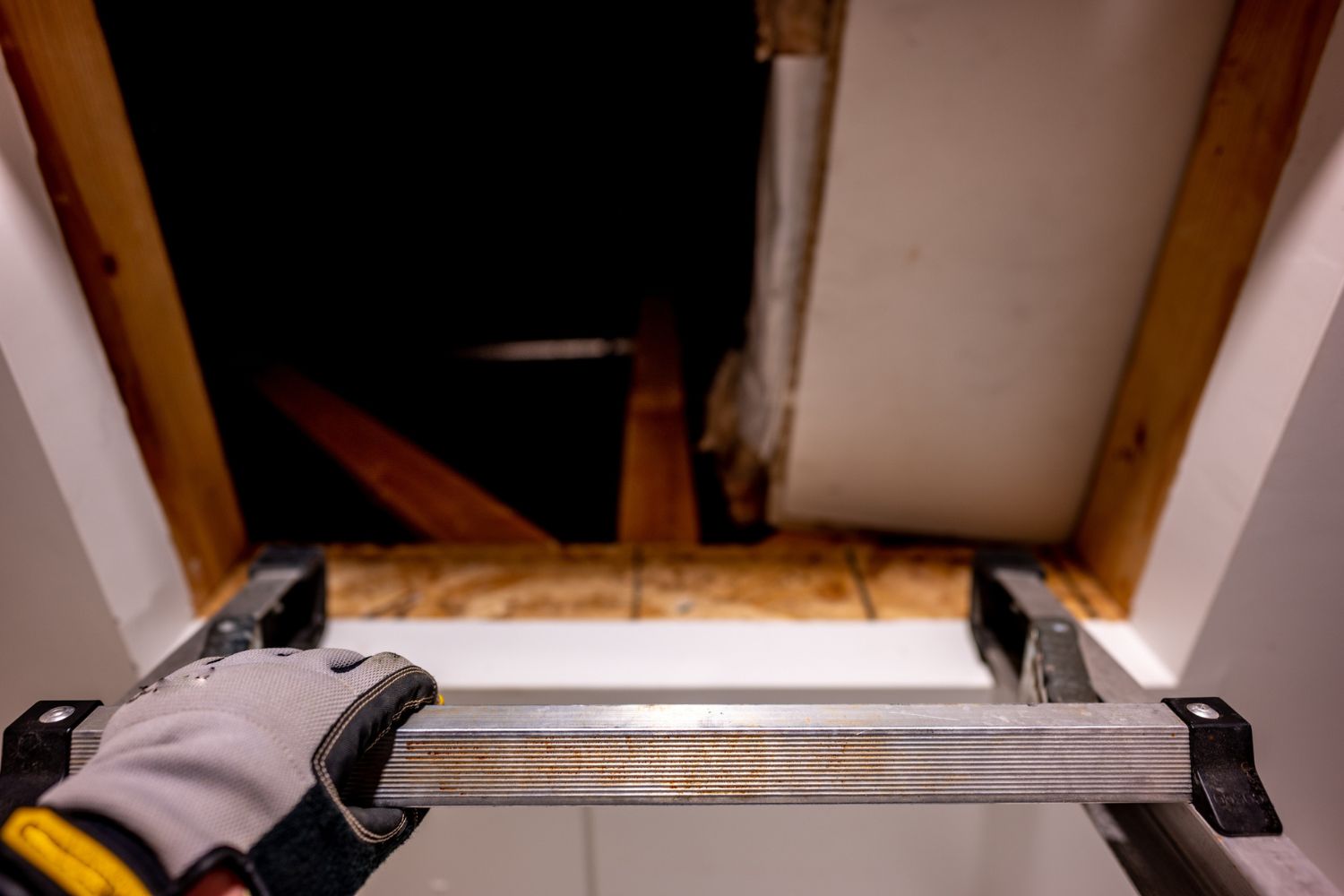How Much Does Attic Ladder Installation Cost? (2024) Bob Vila