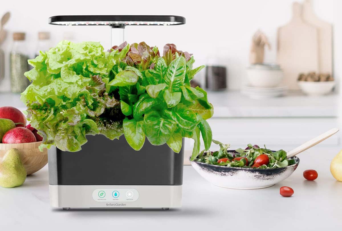 Best Gifts to Send in the Mail Option Hydroponic Herb Garden