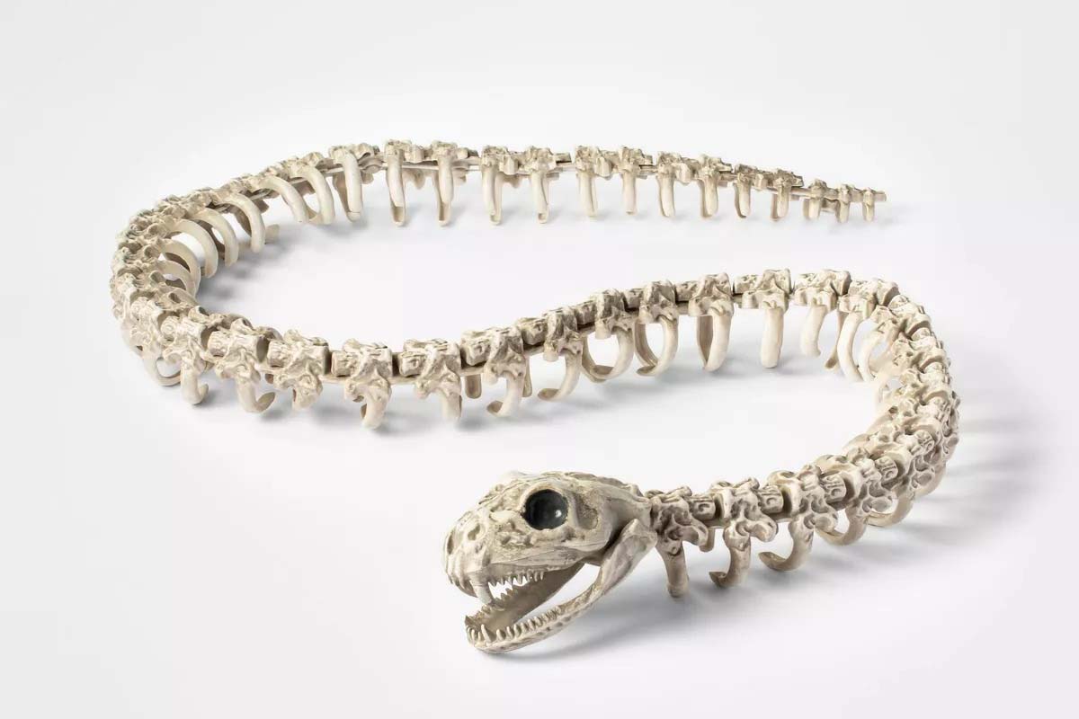 Best Outdoor Halloween Decorations Option Hyde & EEK! Boutique Snake Skeleton Prop