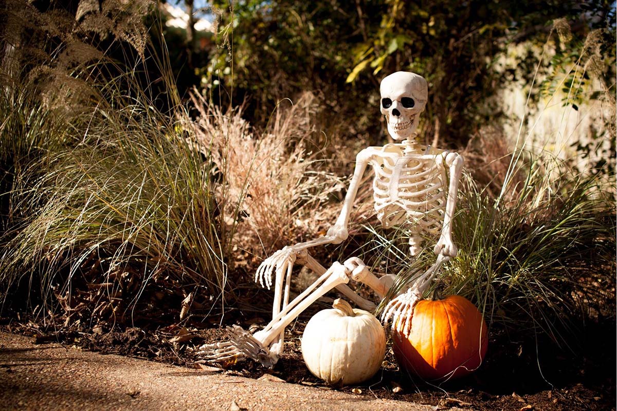 Best Outdoor Halloween Decorations Option The Holiday Aisle Pose-N-Stay Skeleton