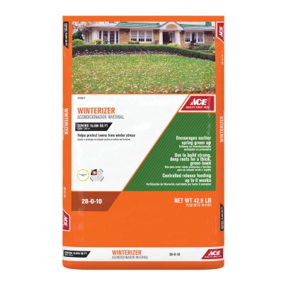 The Best Winter Grass Fertilizer Option: Ace Winterizer All-Purpose Lawn Fertilizer
