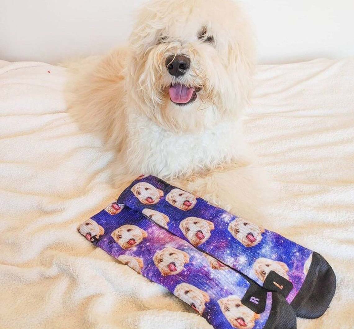 Handy Stocking Stuffer Option Customized Dog Socks