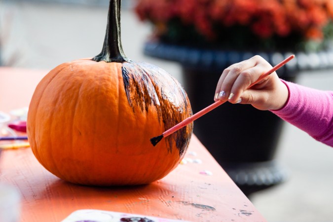 How to Pick the Best Paint for Pumpkins This Fall