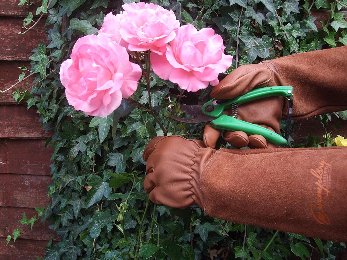 The Best Gifts for Gardeners Option Exemplary Gardens Rose Pruning Gloves