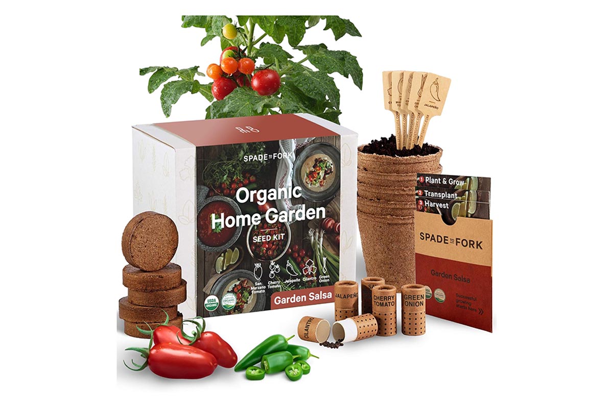 The Best Gifts for Gardeners Option Spade to Fork Organic Indoor Salsa Garden Kit