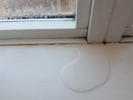 Solved! Here's What to Do About Water Leaking Into the Basement After
