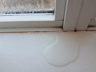 Solved! Here's What to Do About Water Leaking Into the Basement After