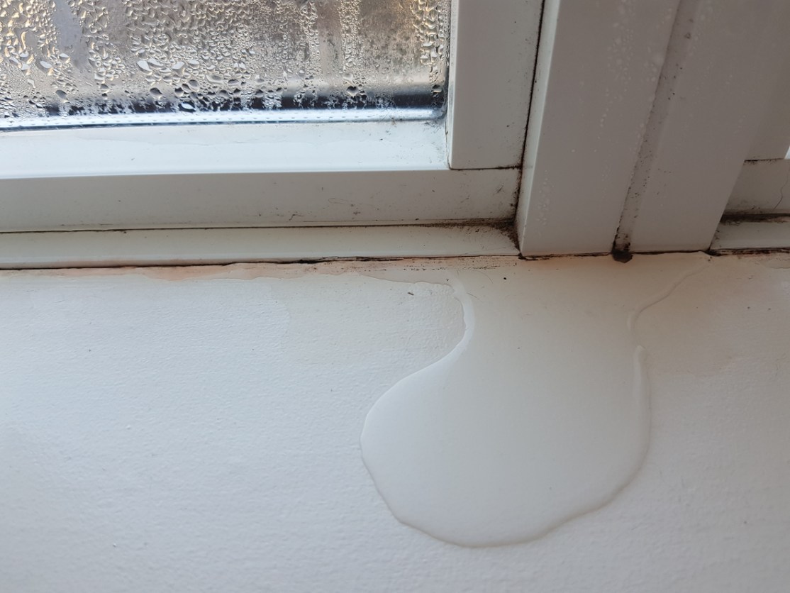Solved! Here's What to Do About Water Leaking Into the Basement After
