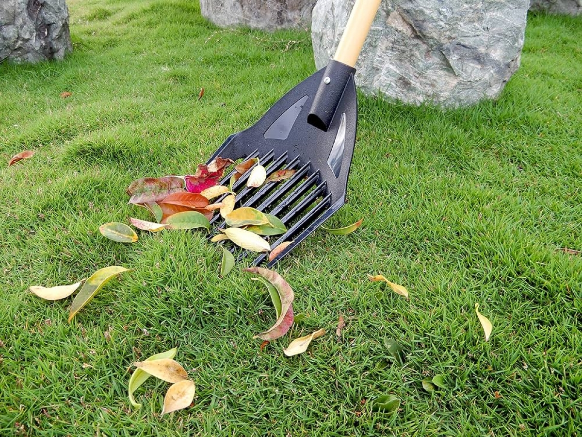 Rake shovel