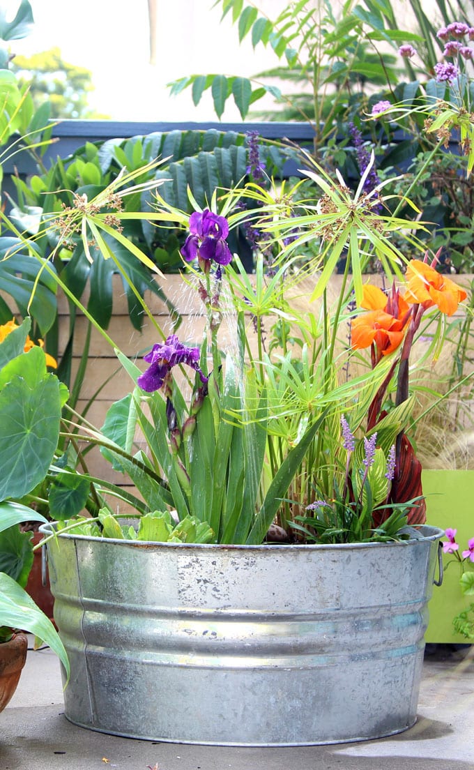 water fountain in galvanized tub with flowers inside