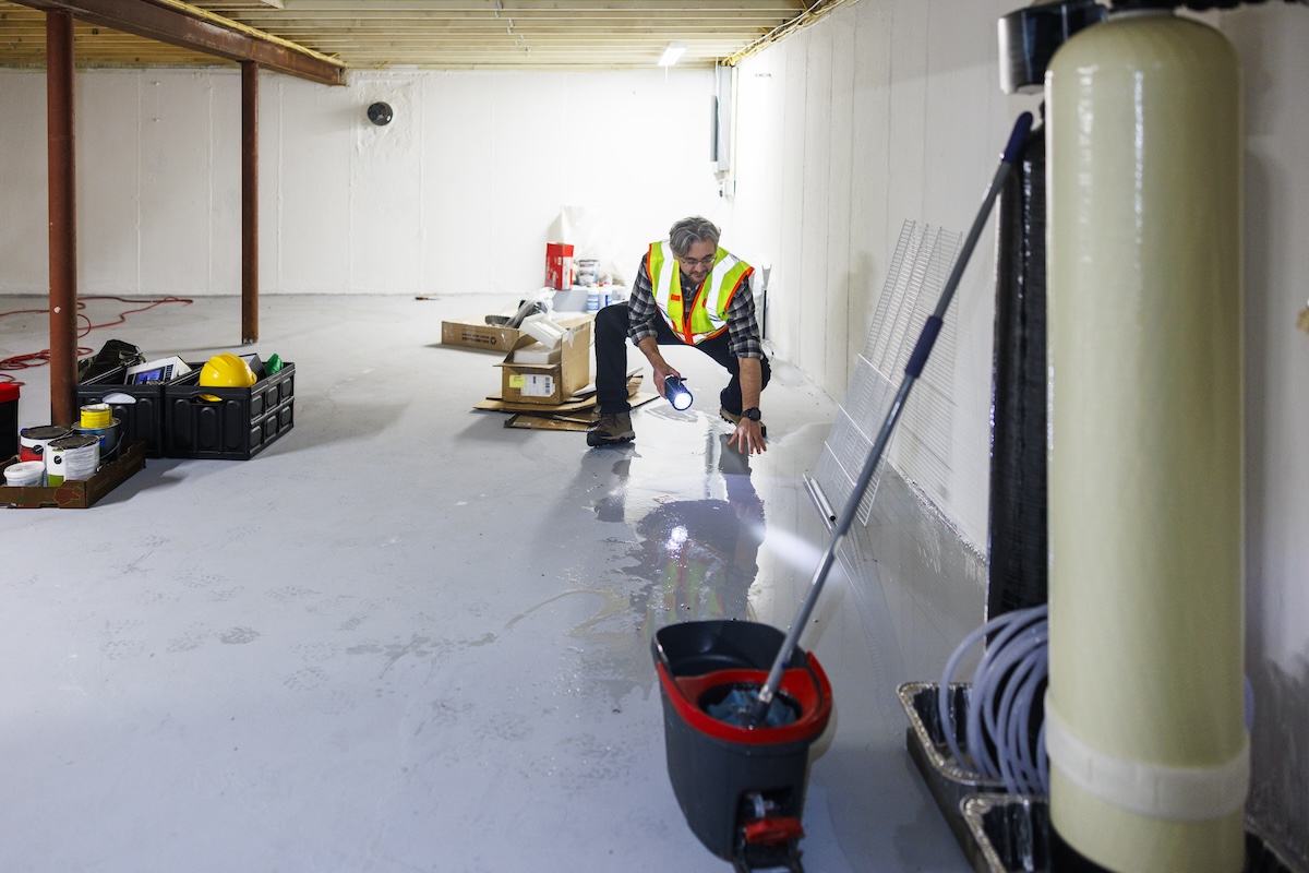 A professional examines leaking in a basement.