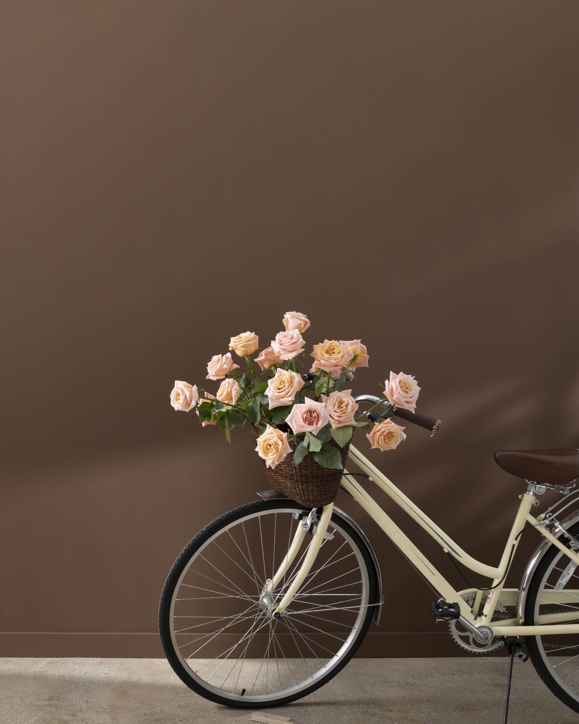 bike with flowers in basket in front of brown wall