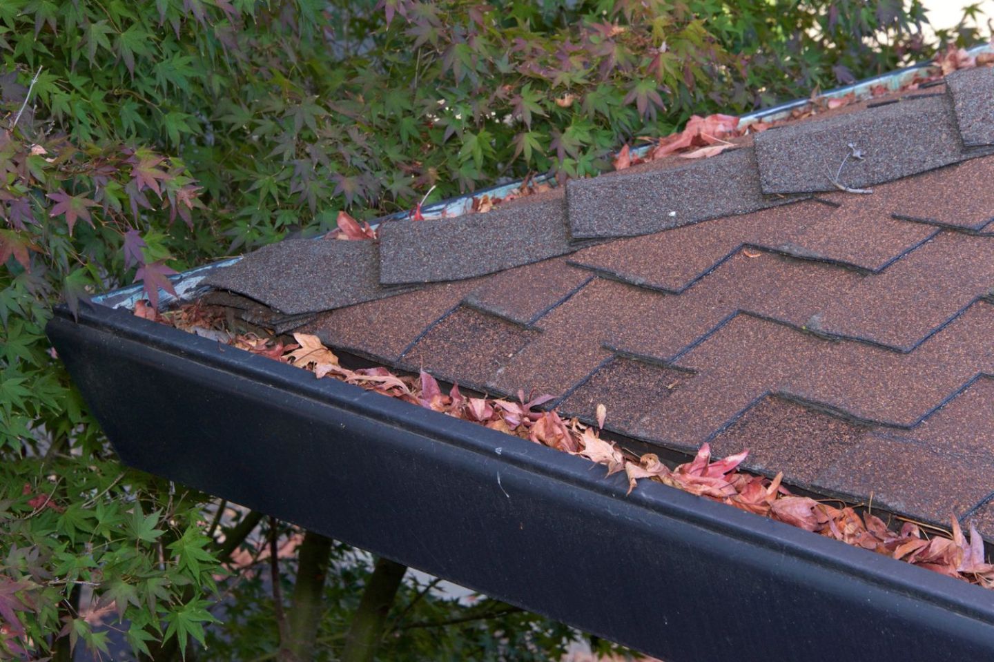 How Much Does LeafGuard Cost? (2024) Bob Vila