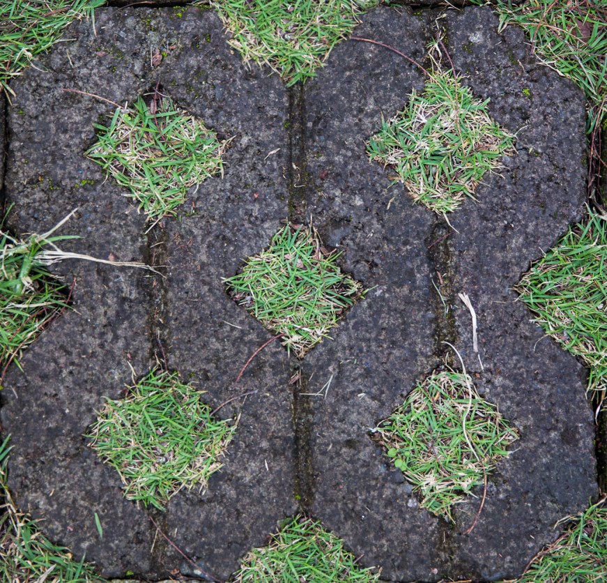 A Grass Driveway Can Benefit Curb Appeal and the Environment - Bob Vila
