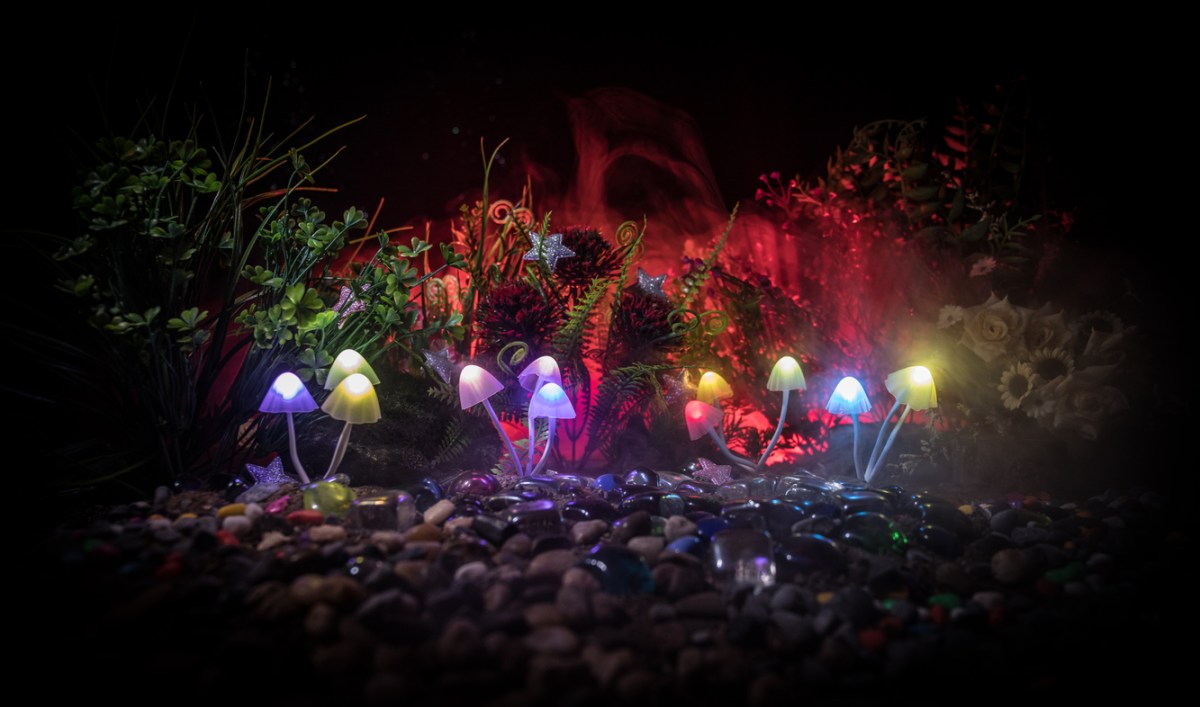 Mushrooms-are-glowing-in-a-bed-of-rocks-in-front-of-greenery-in-the-dark.