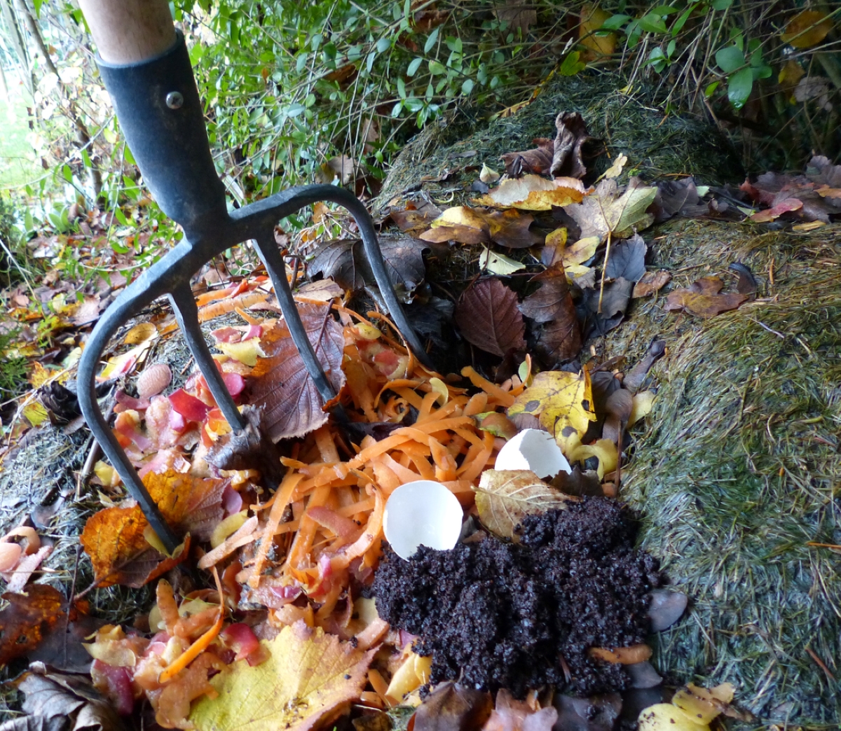 Pitchfork being used to cycle compost